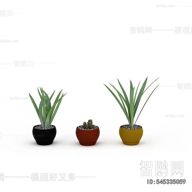 Modern Potted Green Plant