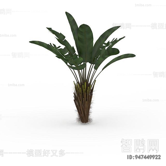 Modern Plant