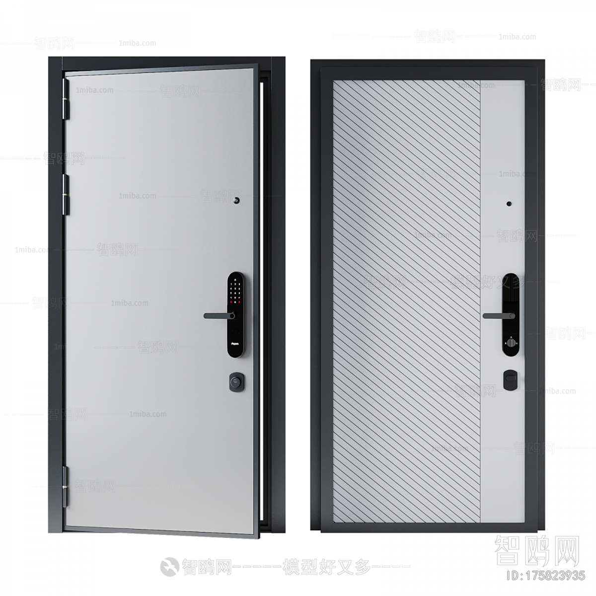 Modern Entrance Door
