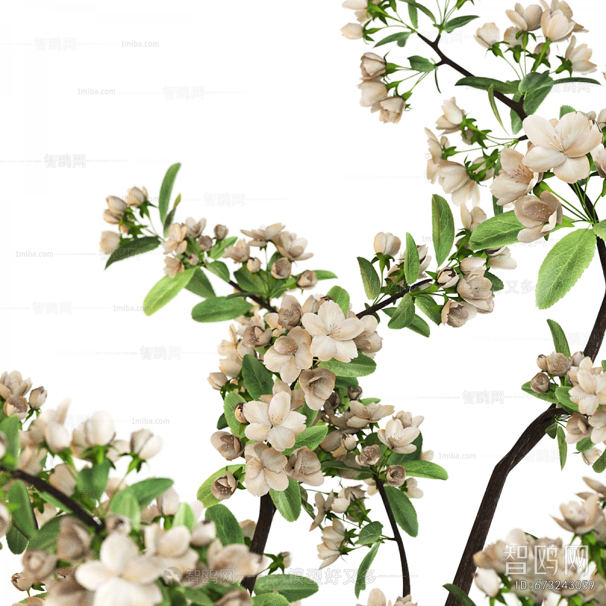 Modern Flower Arrangement