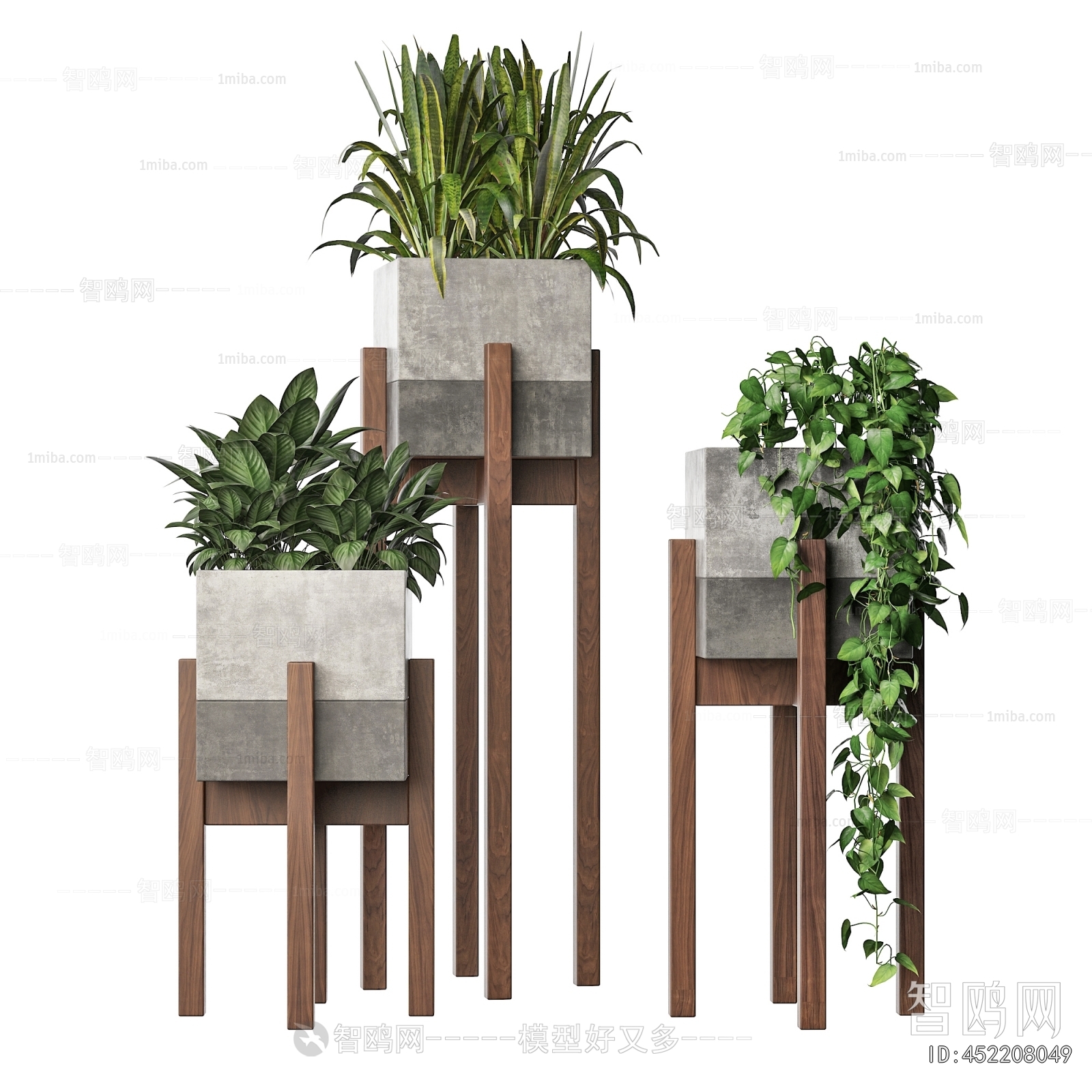 Modern Potted Green Plant