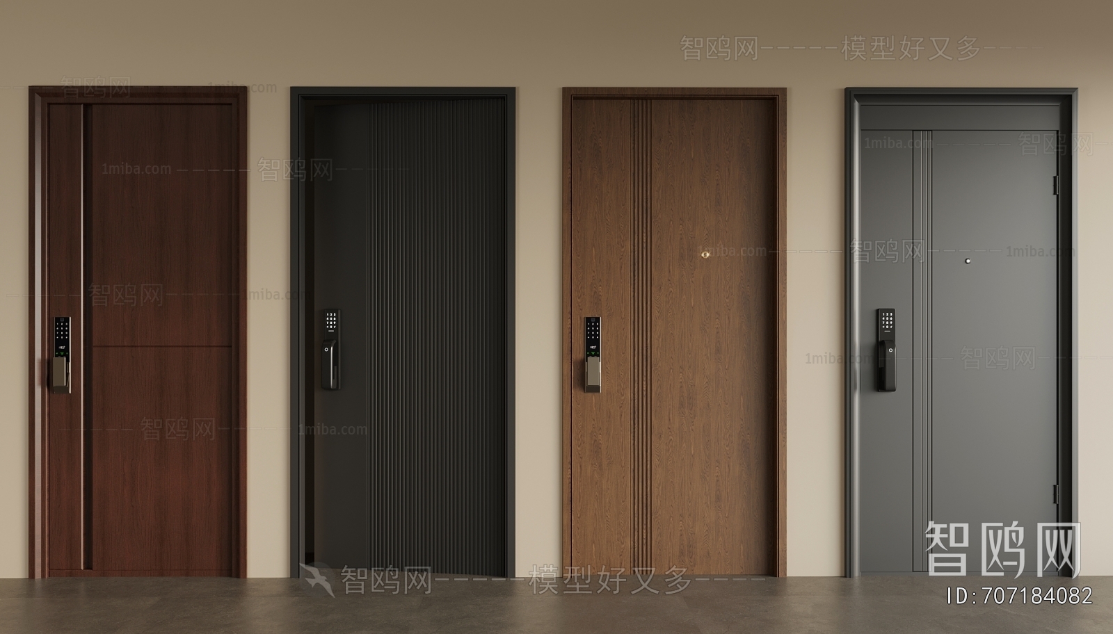 Modern Entrance Door