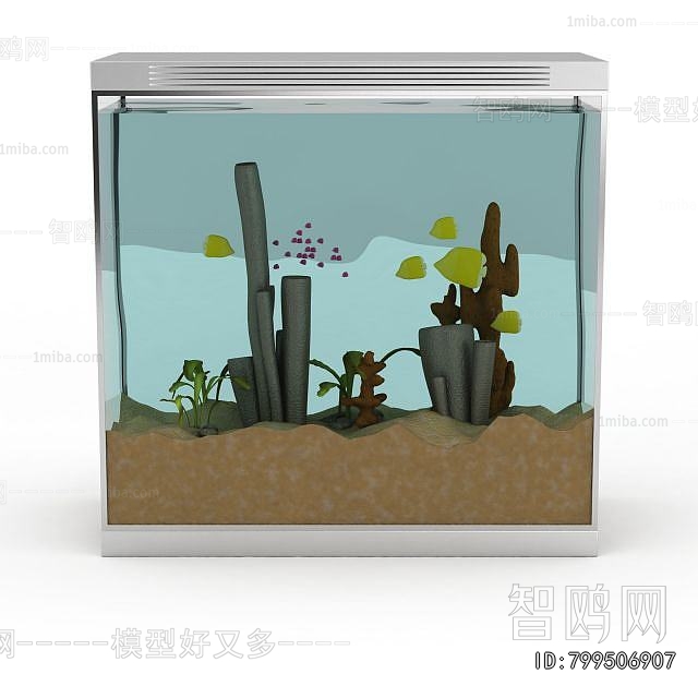 Modern Fish Tank