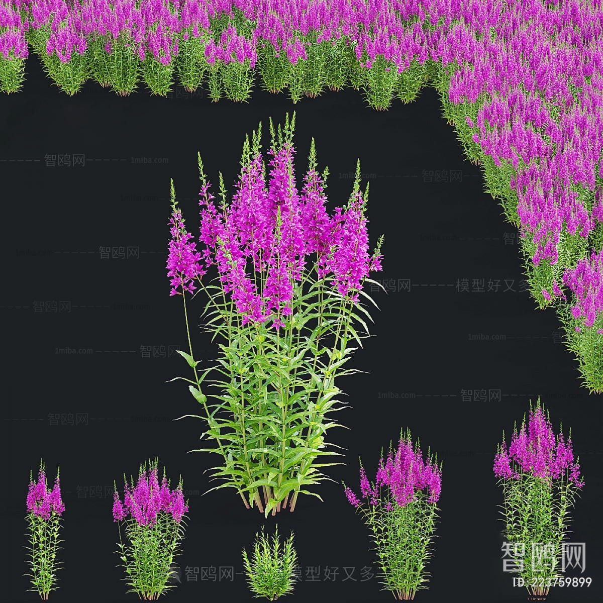 Modern Flowers And Grass