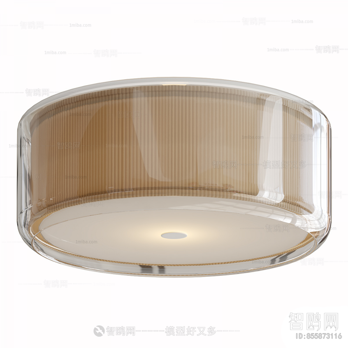Modern Ceiling Ceiling Lamp