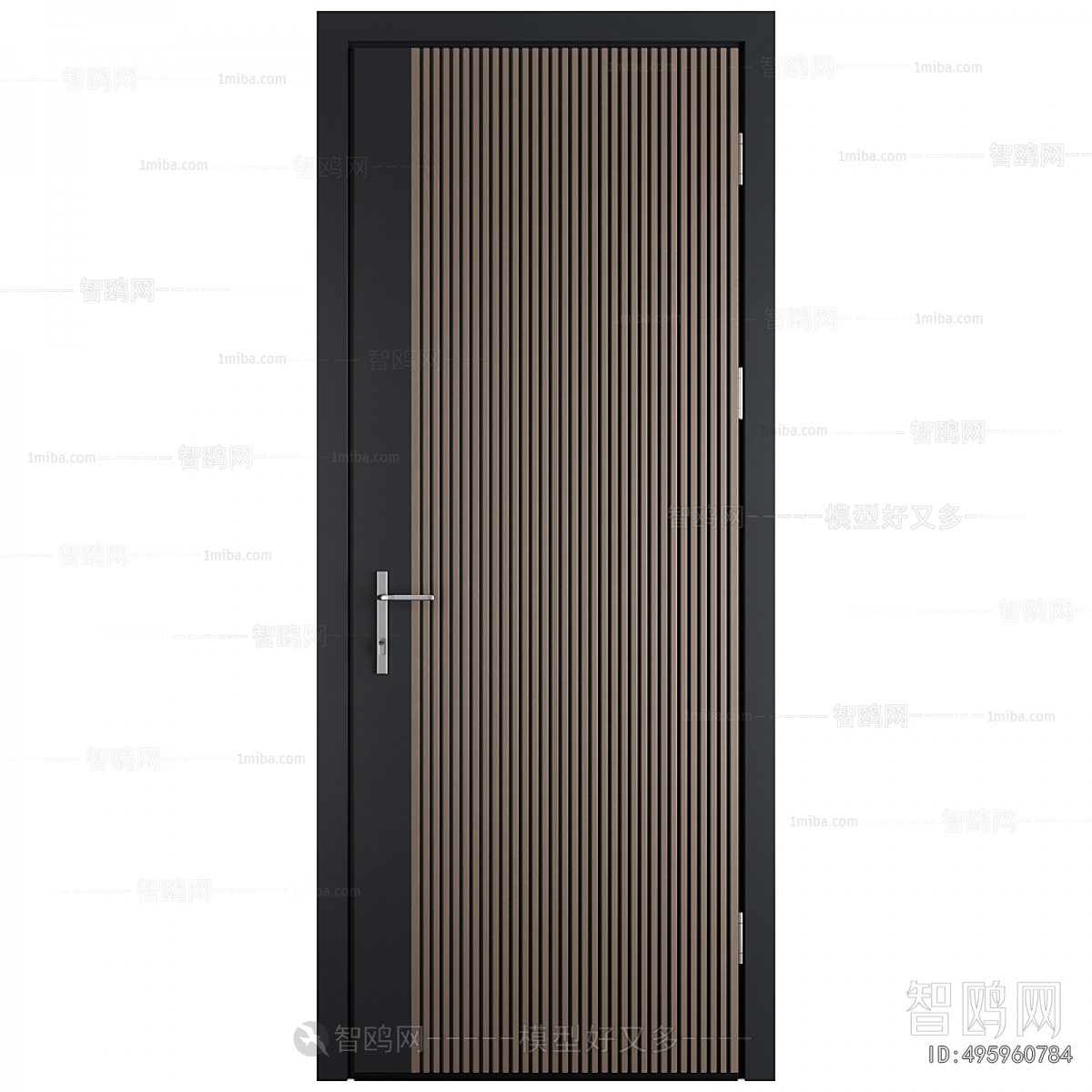 Modern Entrance Door