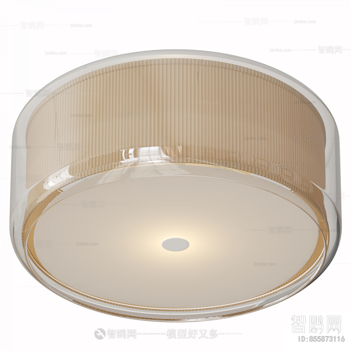 Modern Ceiling Ceiling Lamp