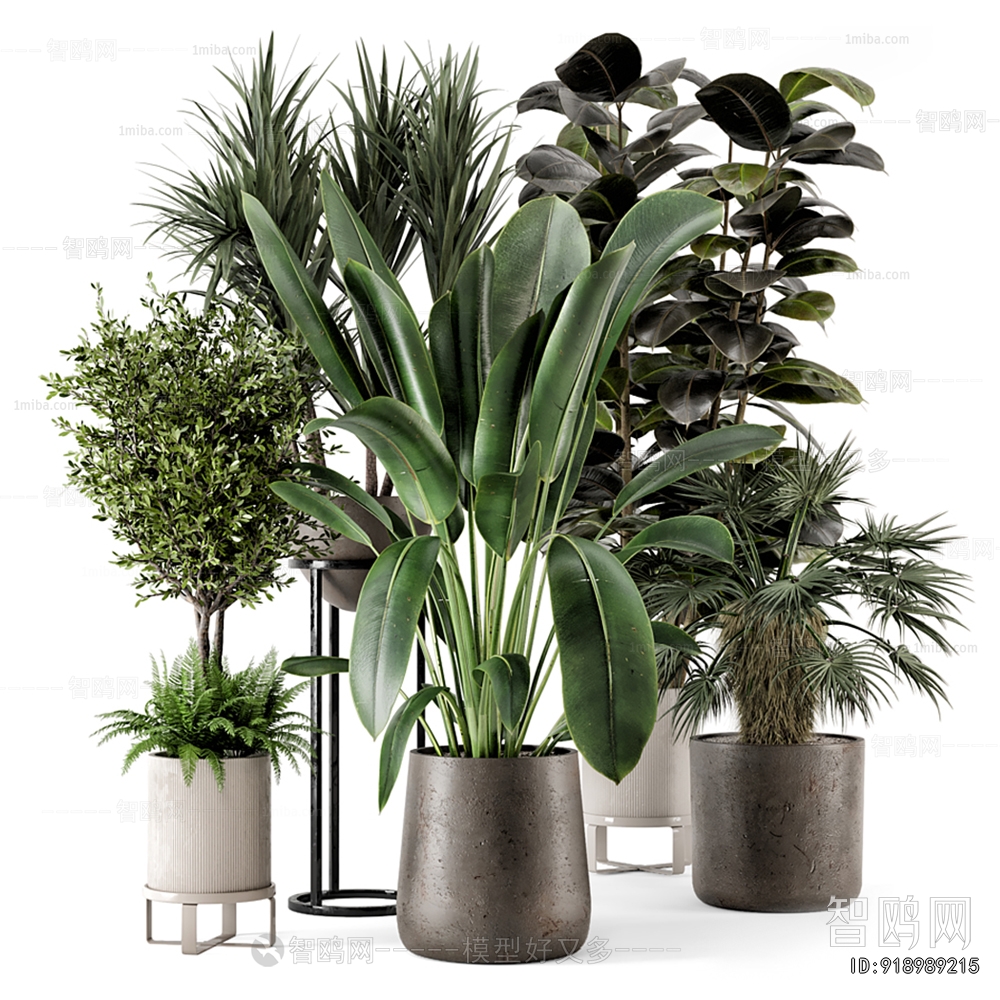 Modern Ground Green Plant Potted Plants