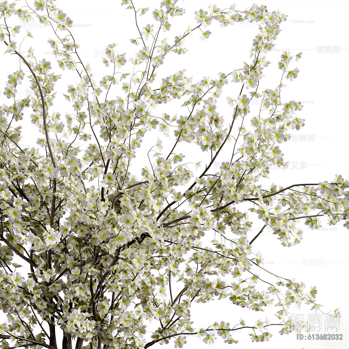 Modern Flower Arrangement