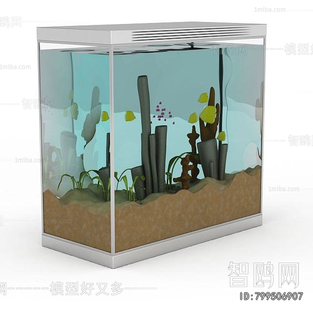 Modern Fish Tank