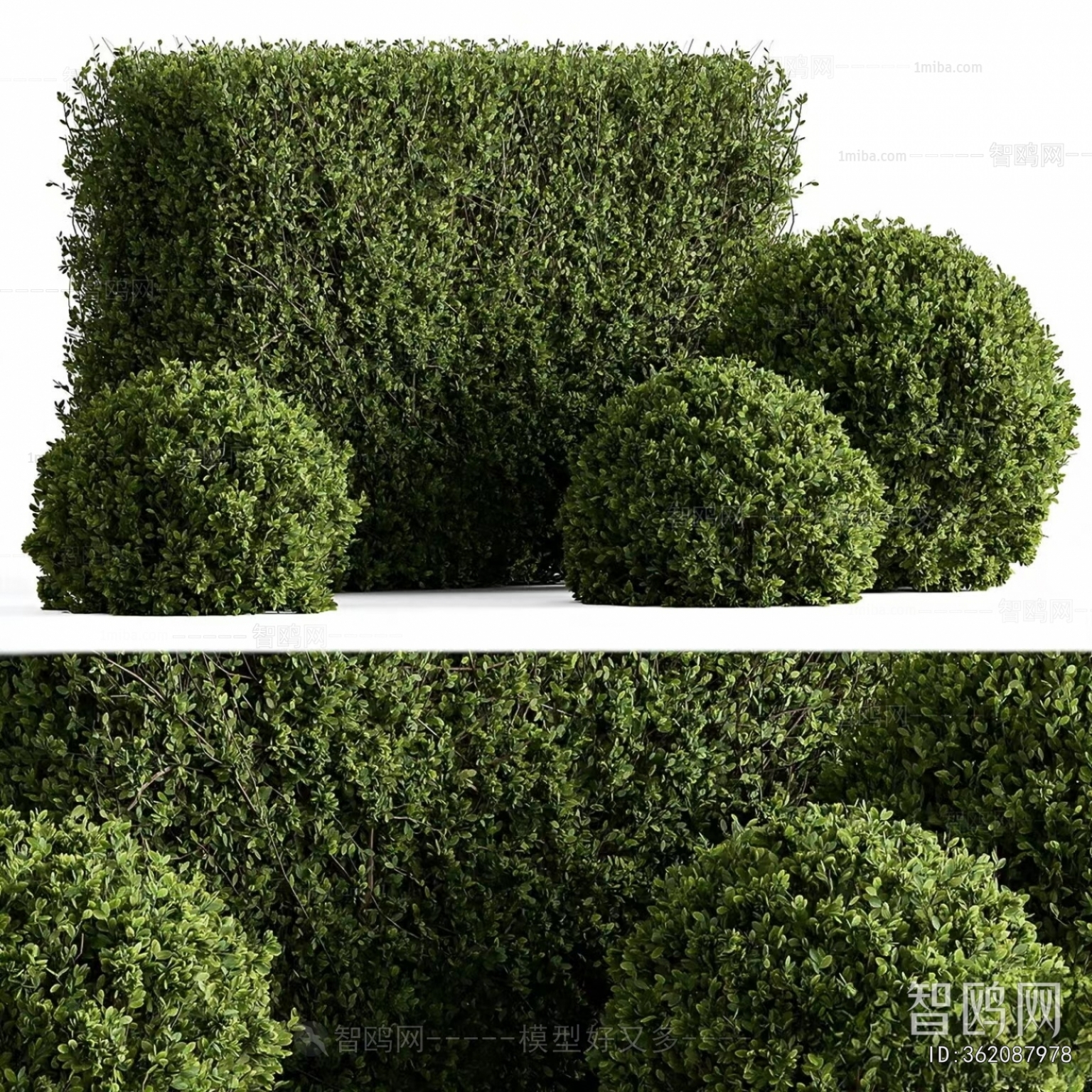 Modern Shrubbery