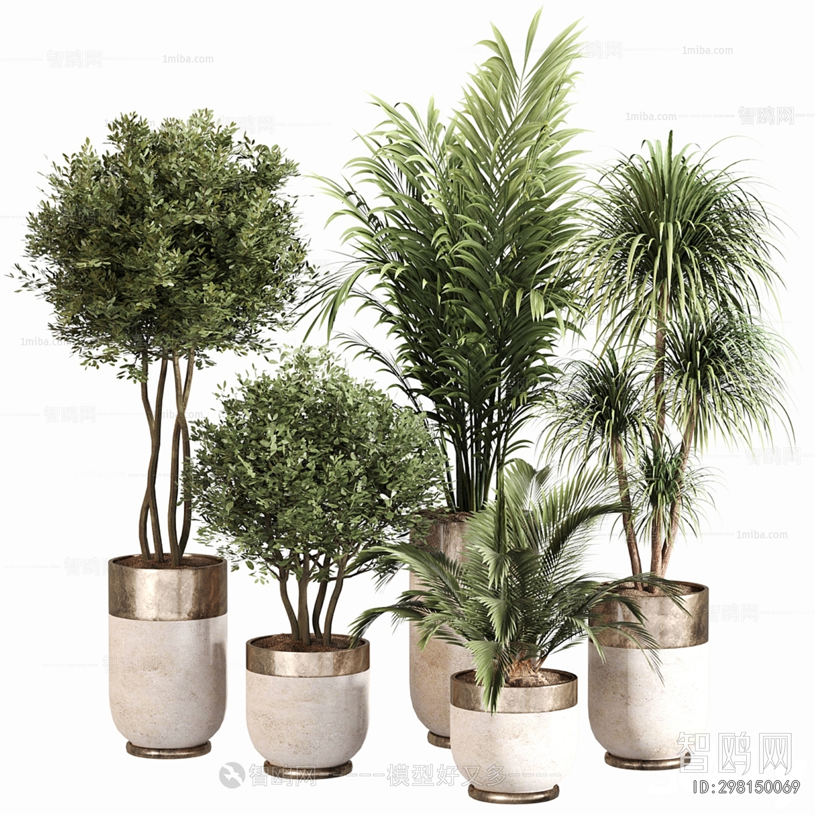 Modern Ground Green Plant Potted Plants