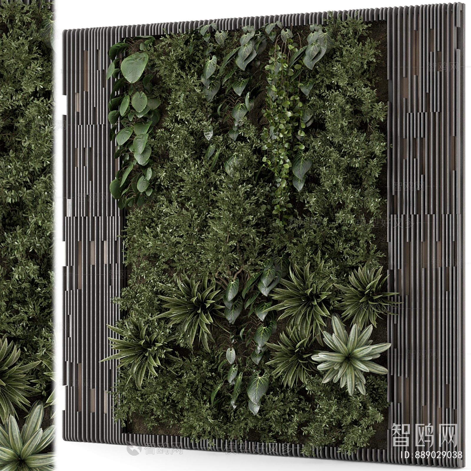 Modern Plant Wall