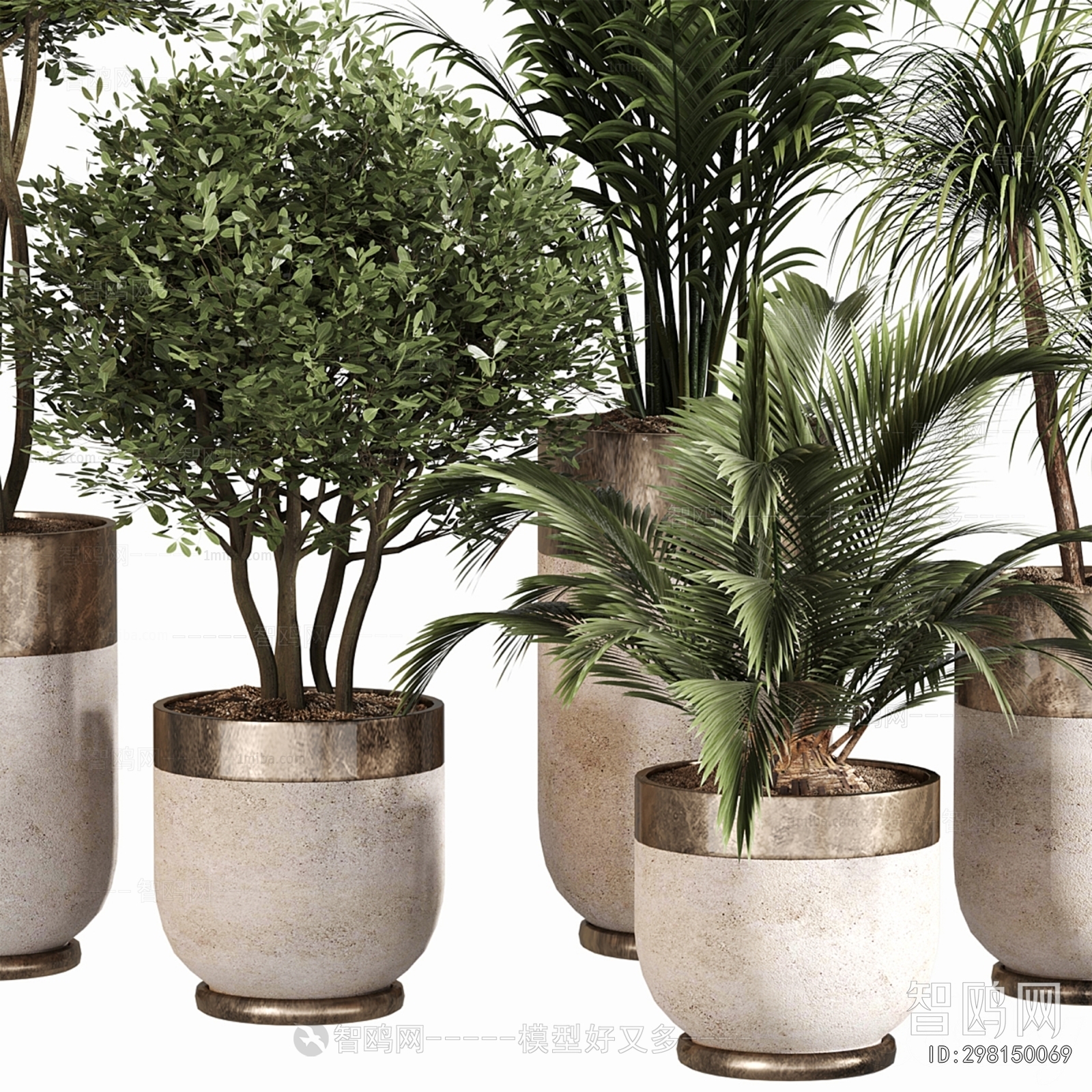 Modern Ground Green Plant Potted Plants