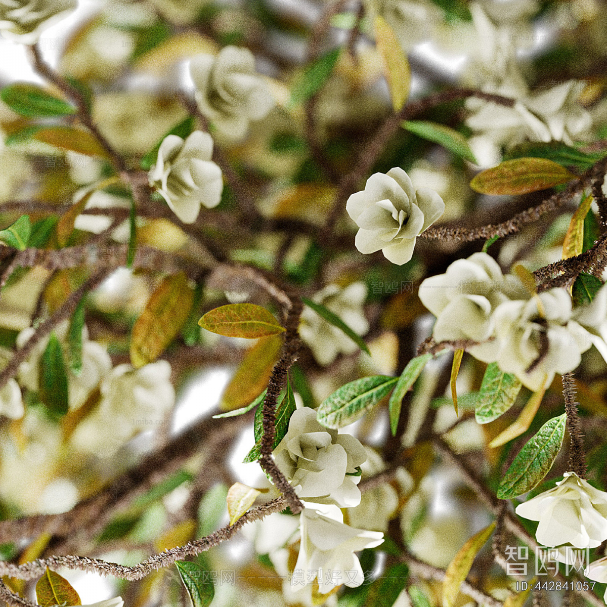 Modern Flower Arrangement