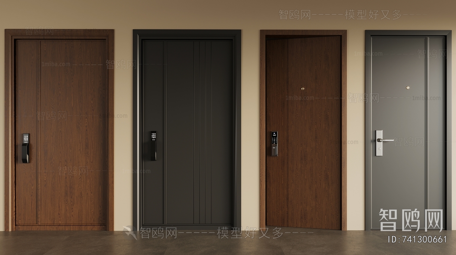 Modern Entrance Door