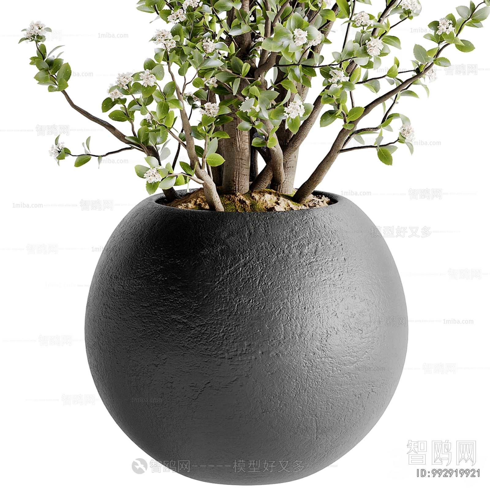 Modern Ground Green Plant Potted Plants