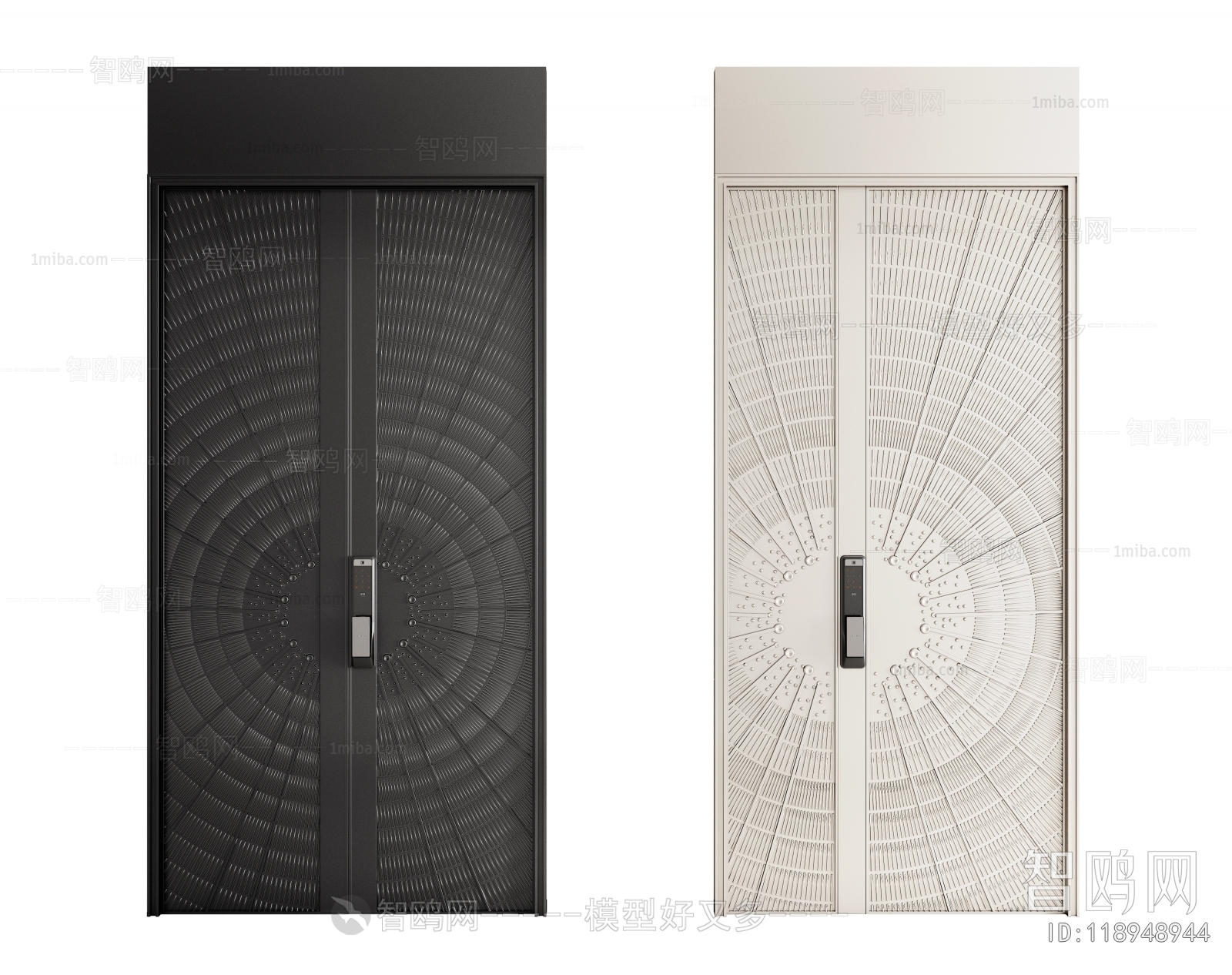 Modern Entrance Door