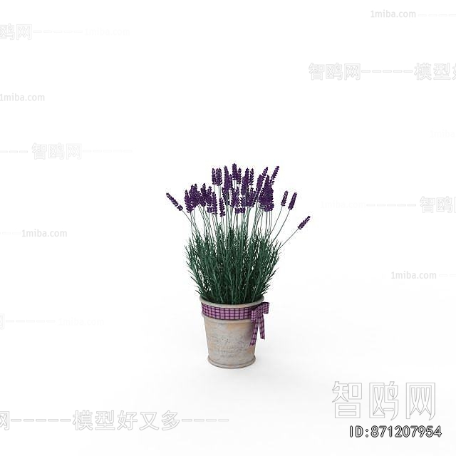 Modern Potted Green Plant