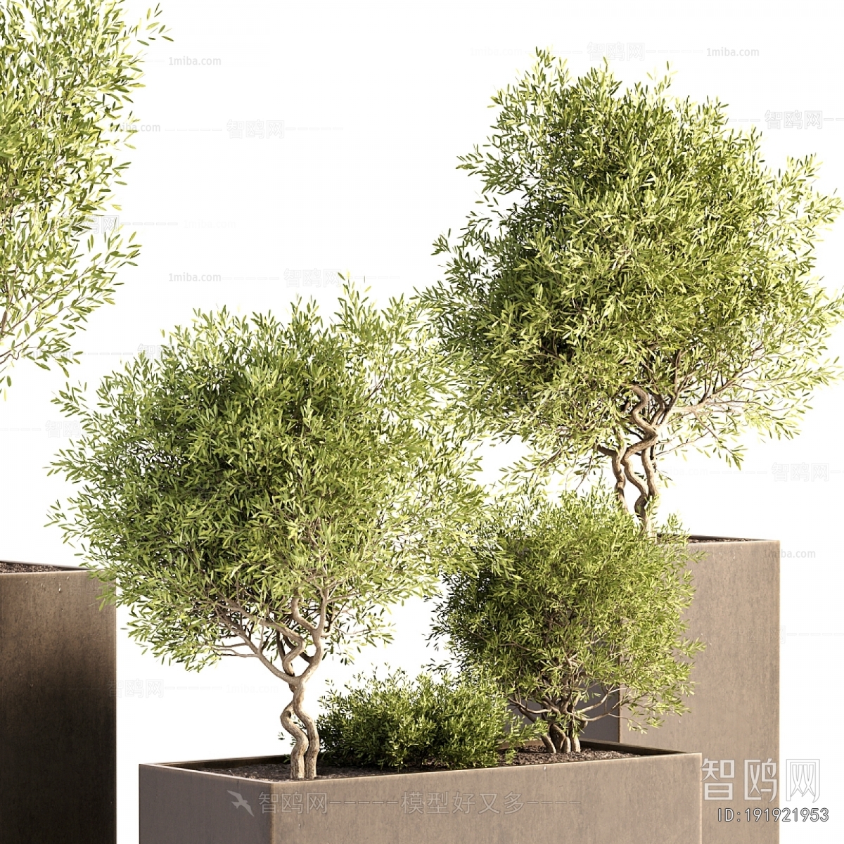 Modern Flower Bed, Flower Bowl, Flower Box