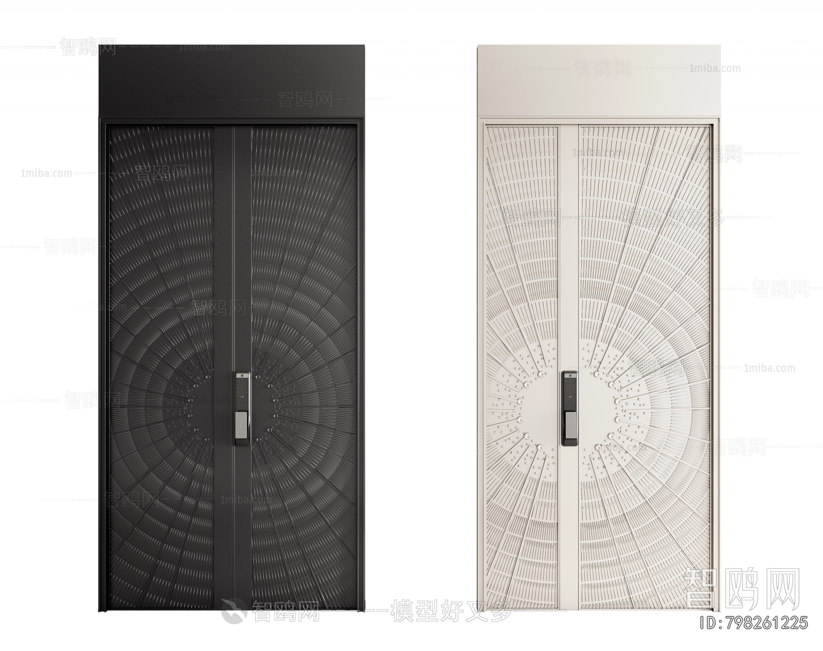 Modern Entrance Door