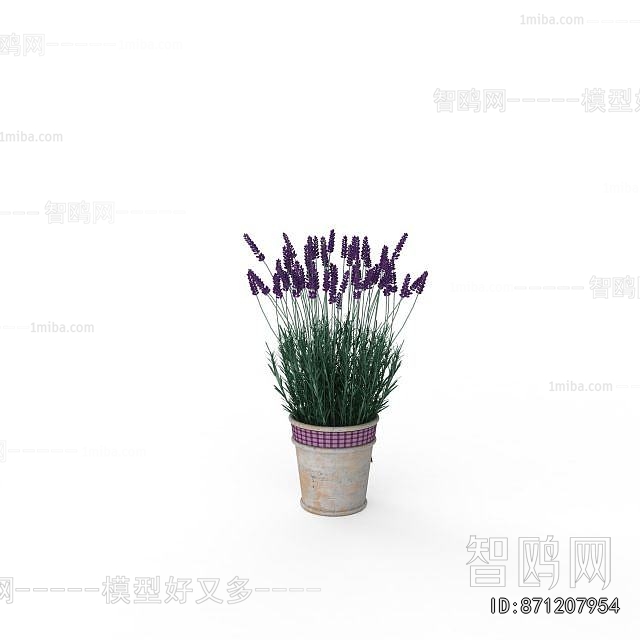 Modern Potted Green Plant