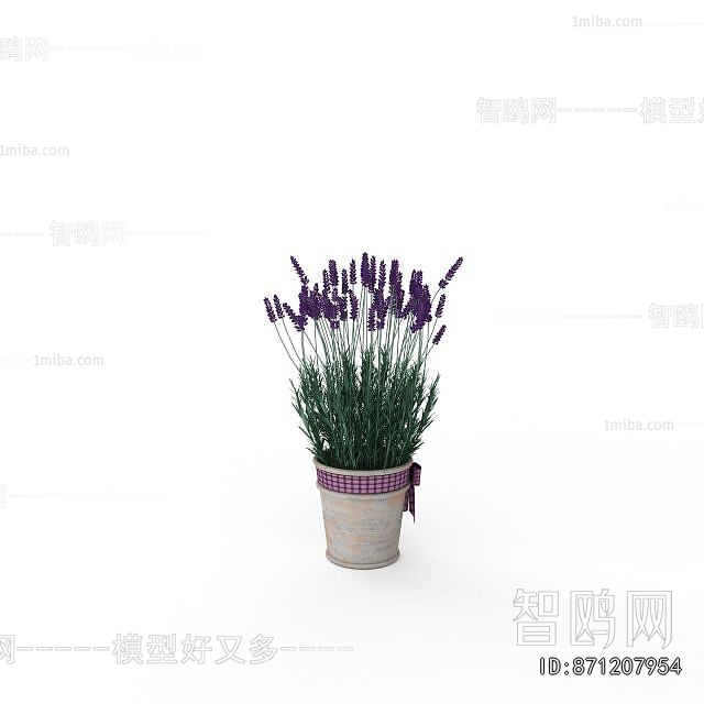 Modern Potted Green Plant