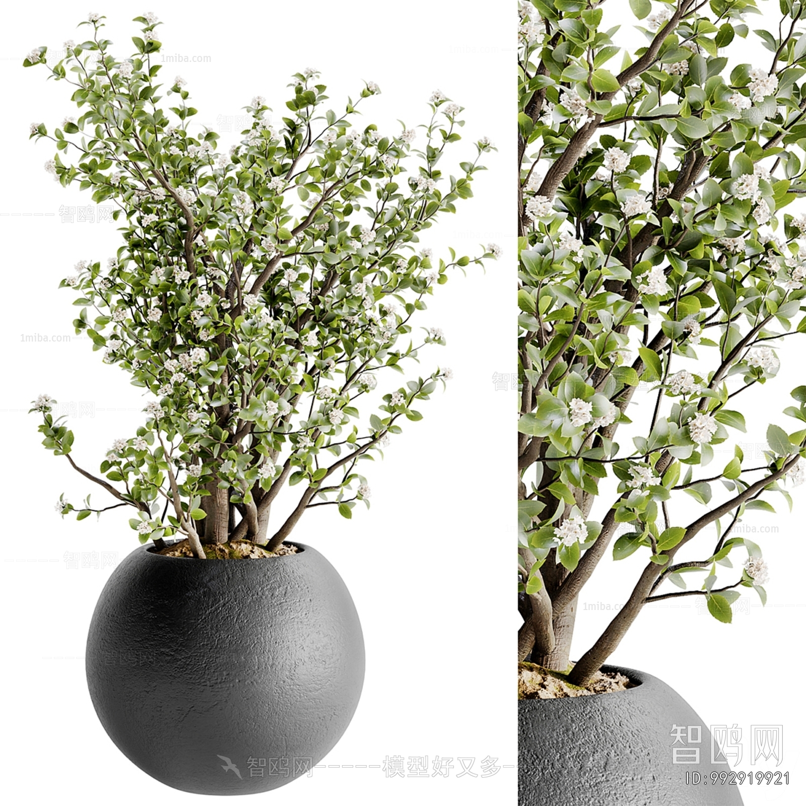 Modern Ground Green Plant Potted Plants