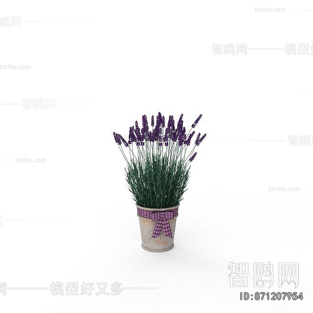 Modern Potted Green Plant