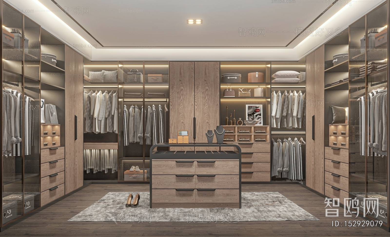 Modern Clothes Storage Area
