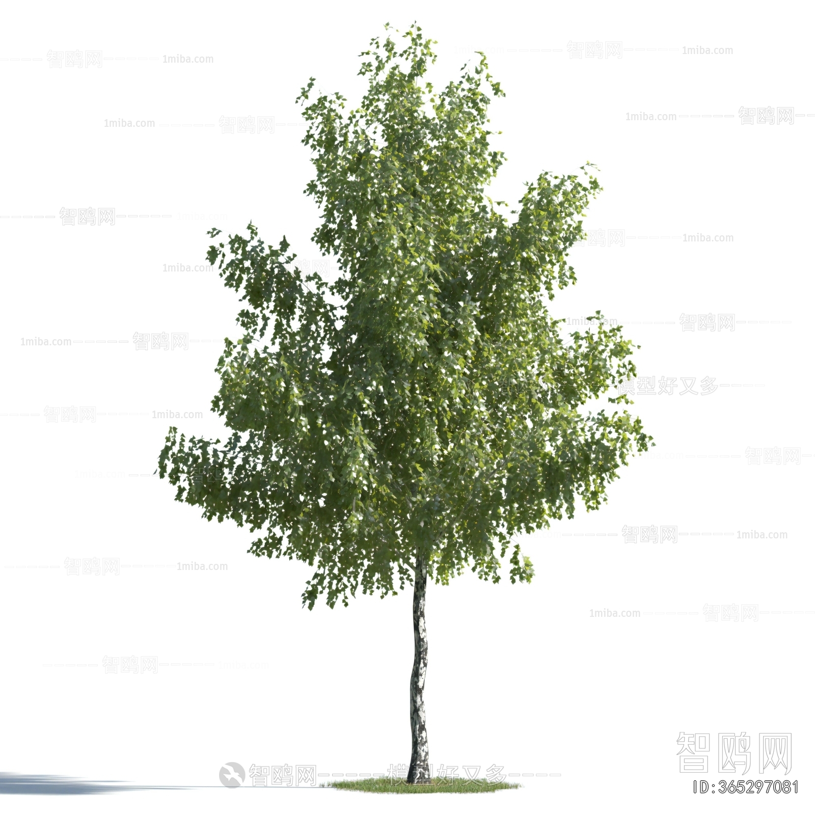 Modern Tree