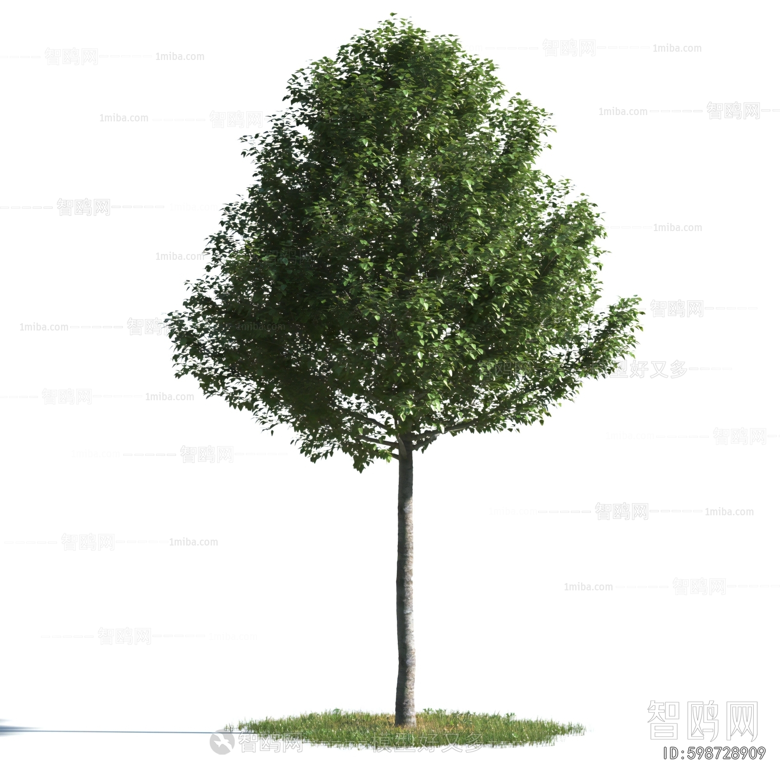 Modern Tree