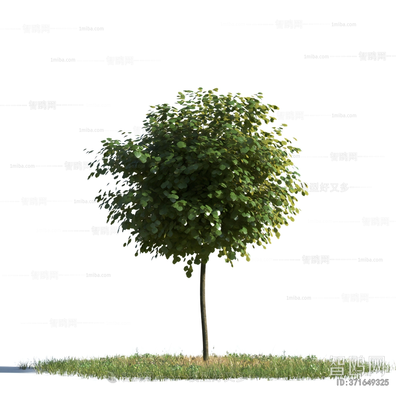 Modern Tree