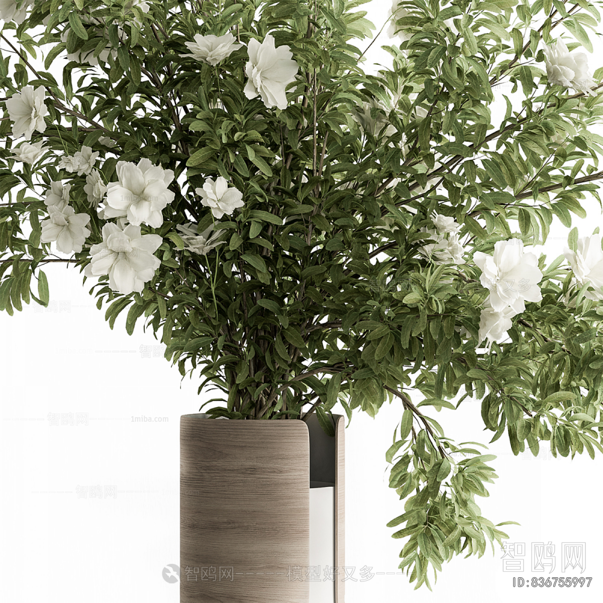 Modern Flower Arrangement