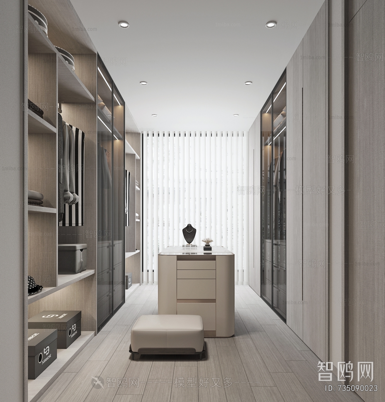 Modern Clothes Storage Area