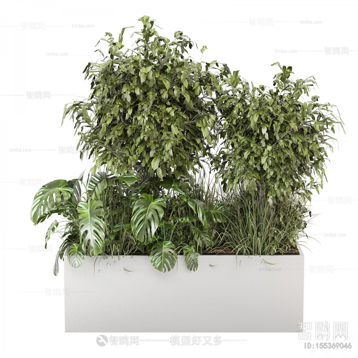 Modern Flower Bed, Flower Bowl, Flower Box