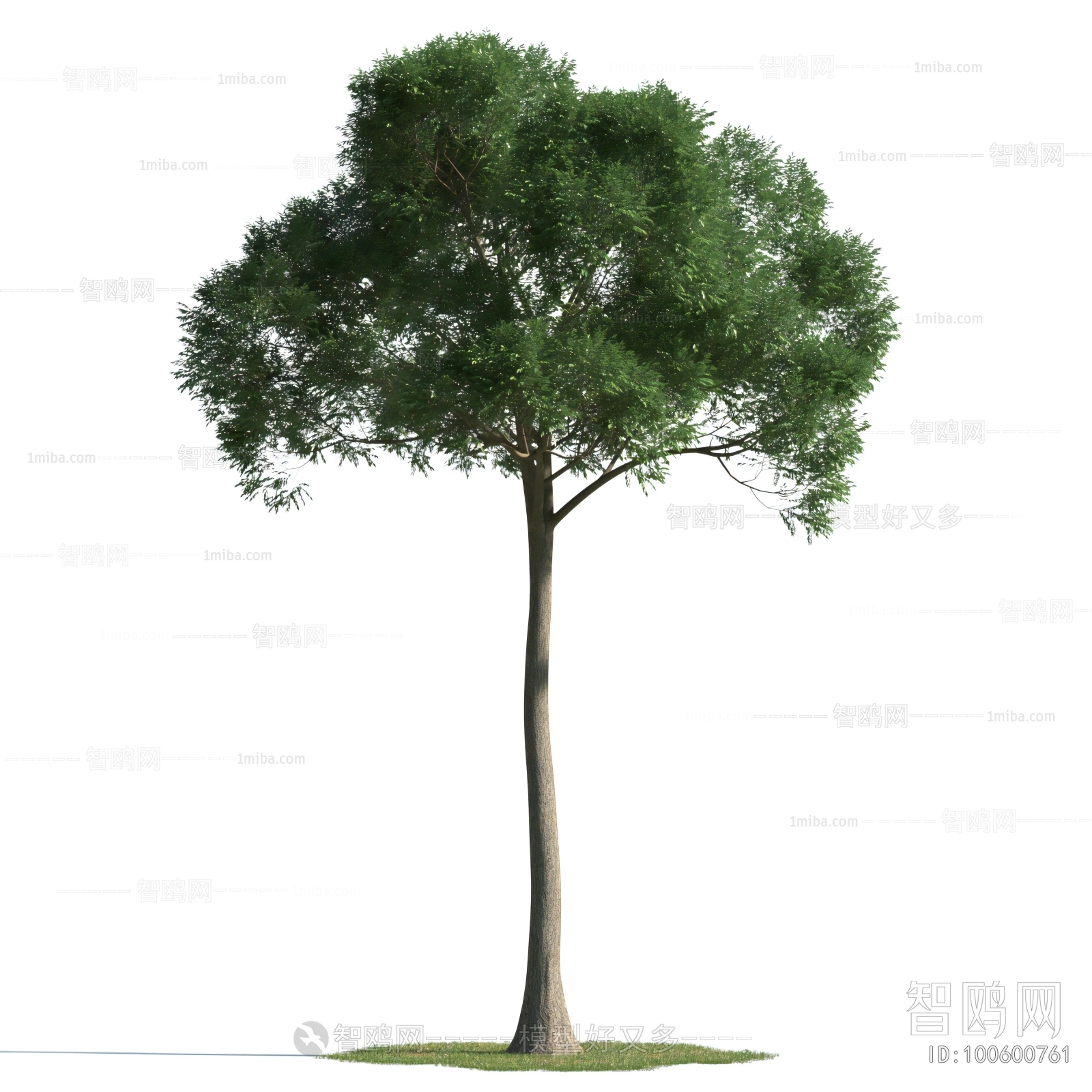 Modern Tree