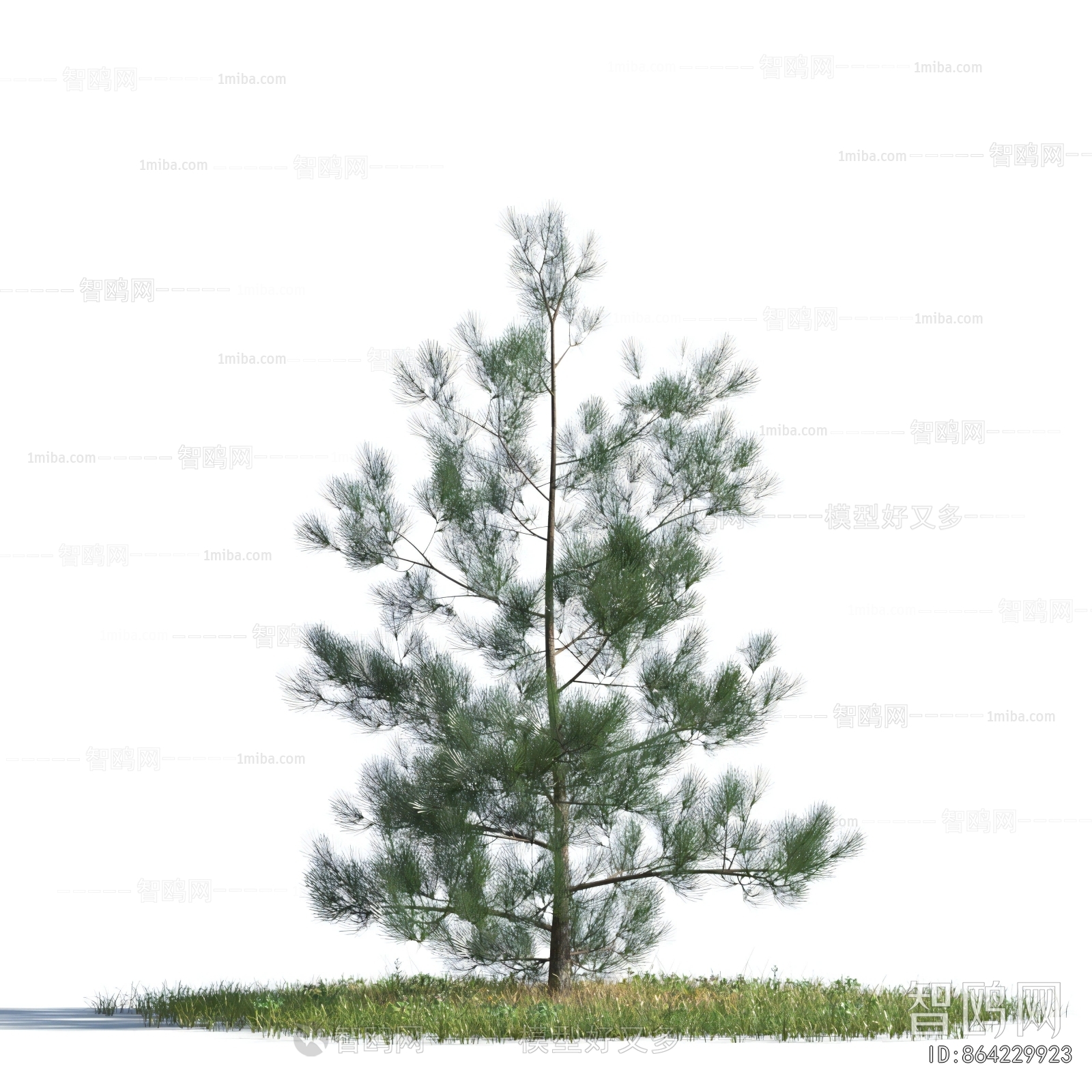 Modern Tree