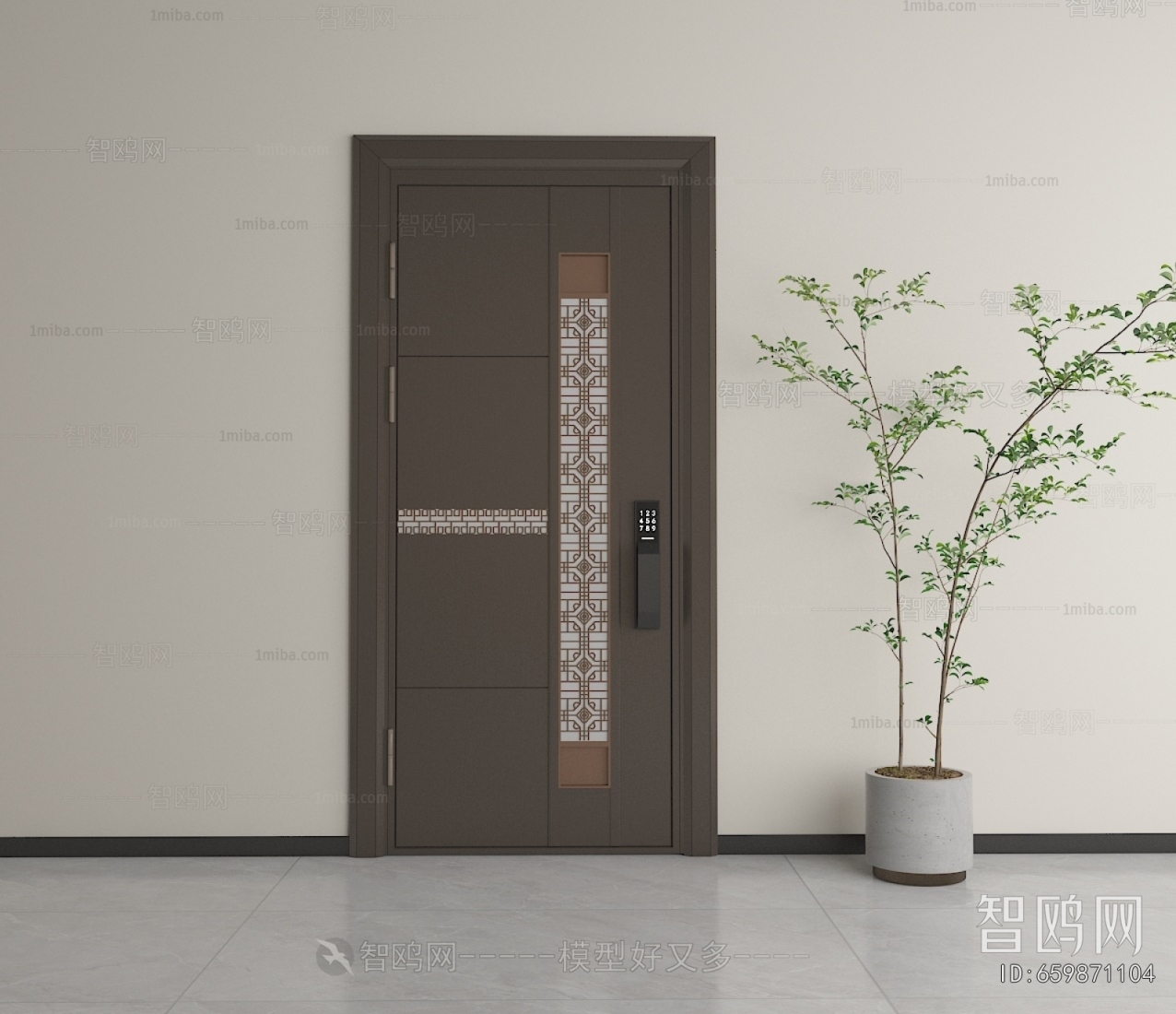 Modern Entrance Door