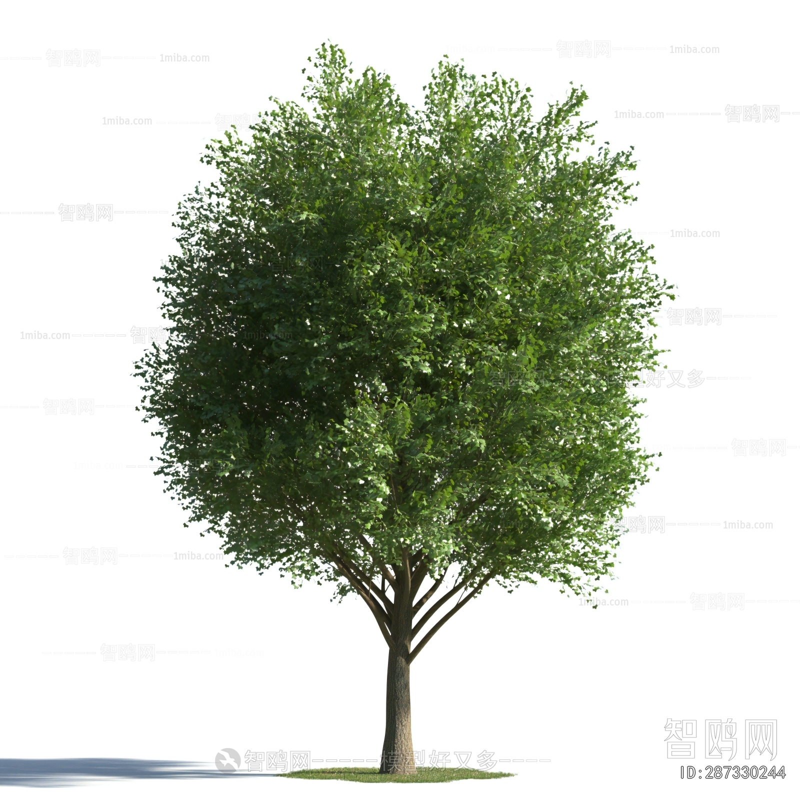 Modern Tree