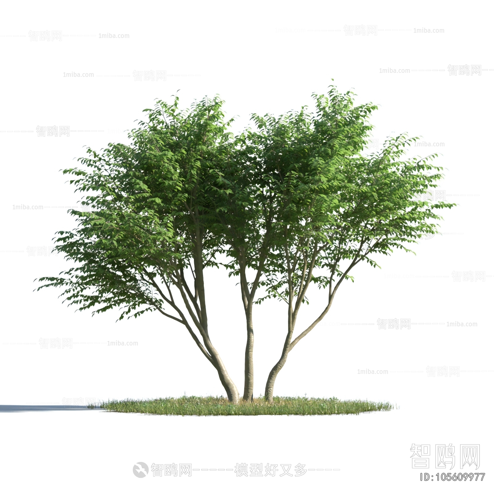 Modern Tree