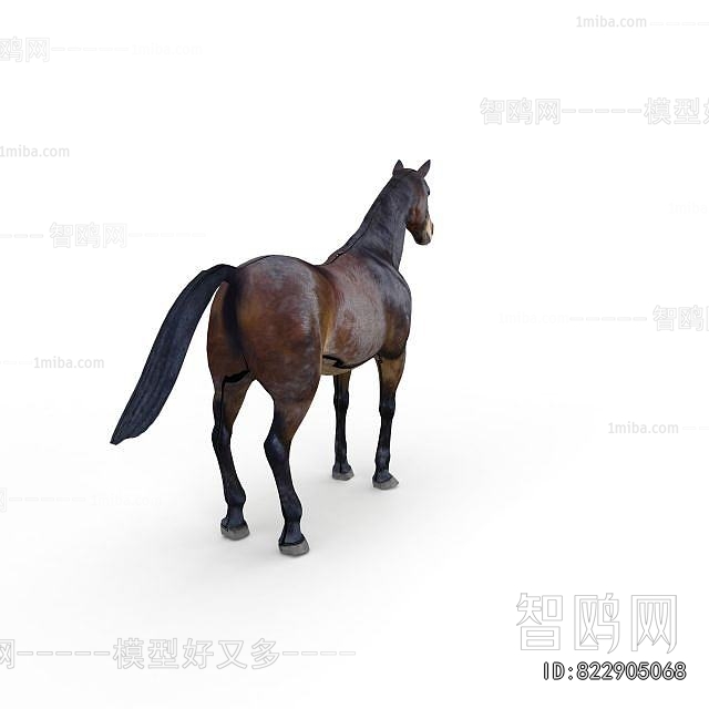 Modern Animal Horse