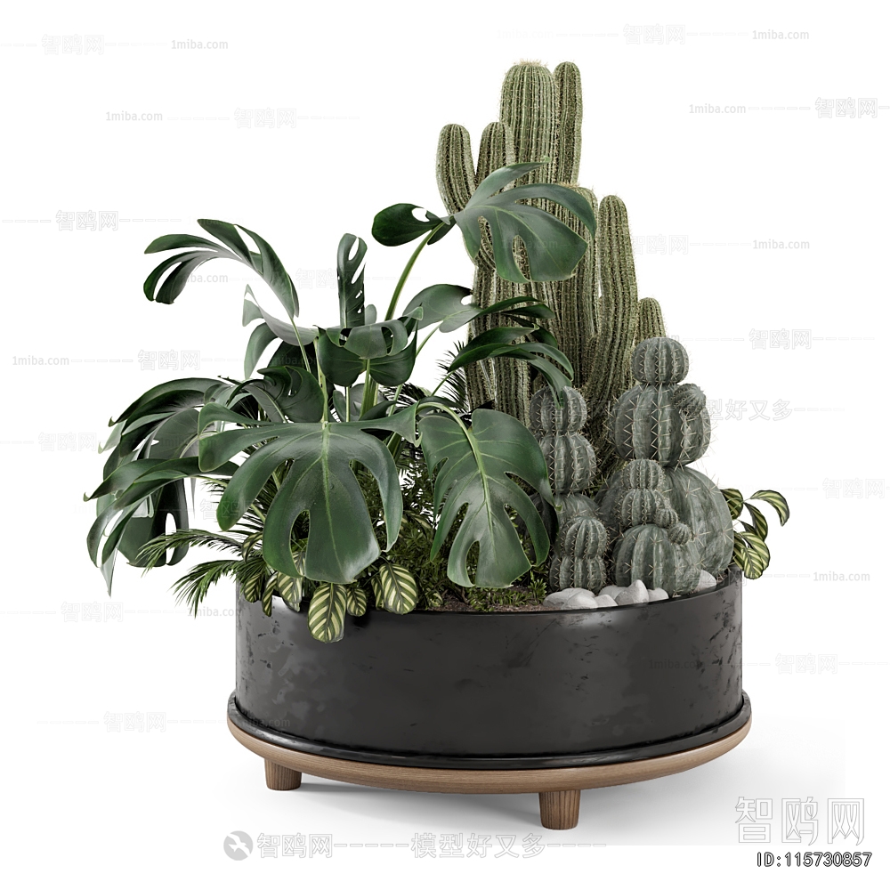 Modern Flower Bed, Flower Bowl, Flower Box