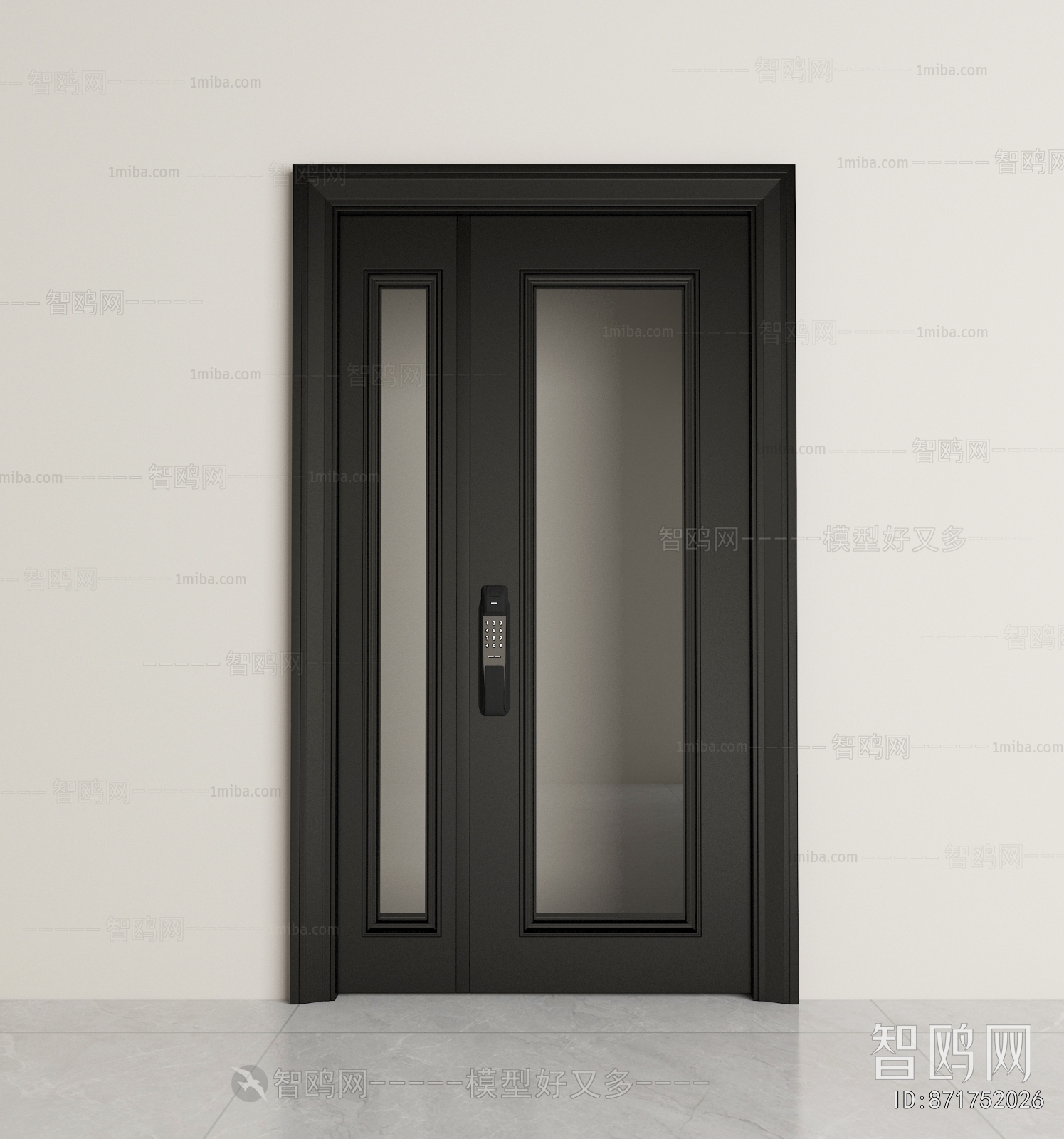 Modern Entrance Door