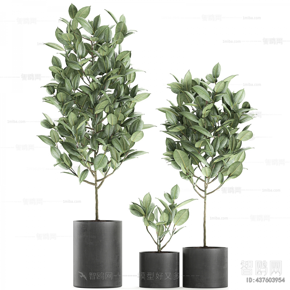 Modern Ground Green Plant Potted Plants