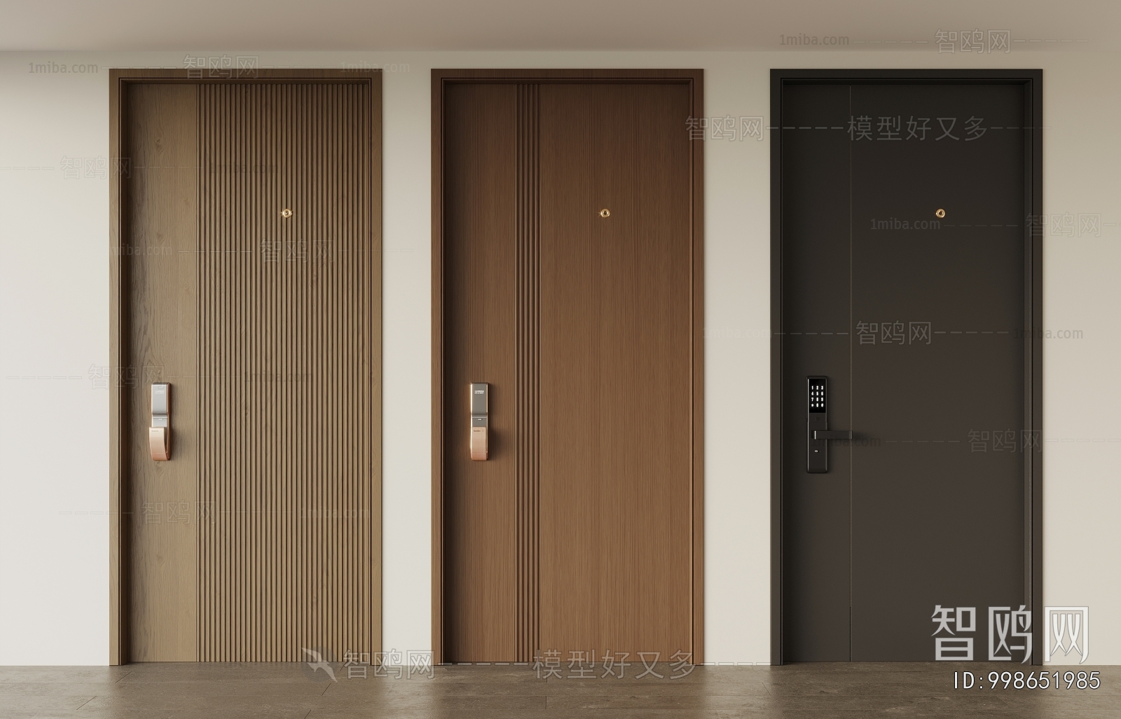 Modern Entrance Door