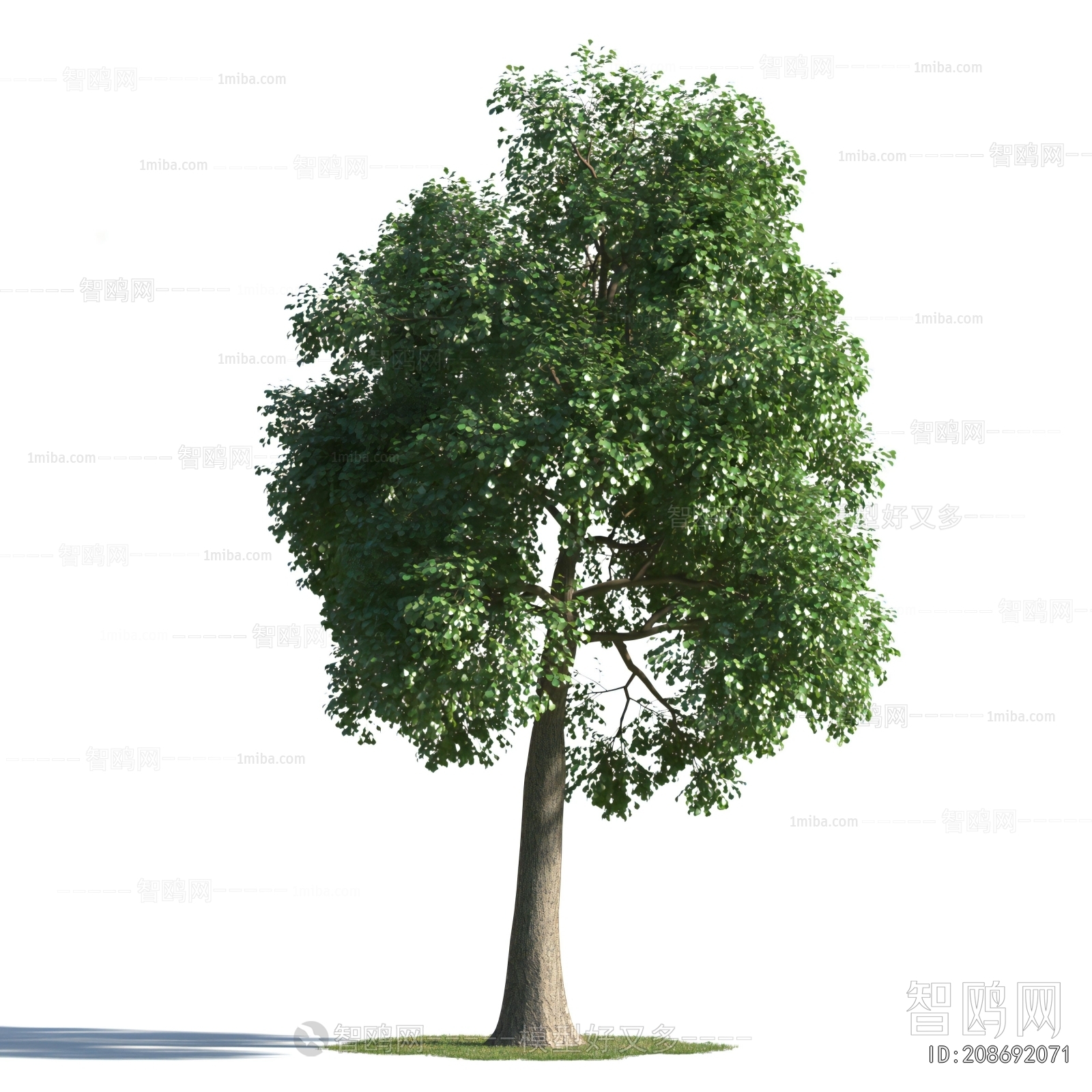 Modern Tree