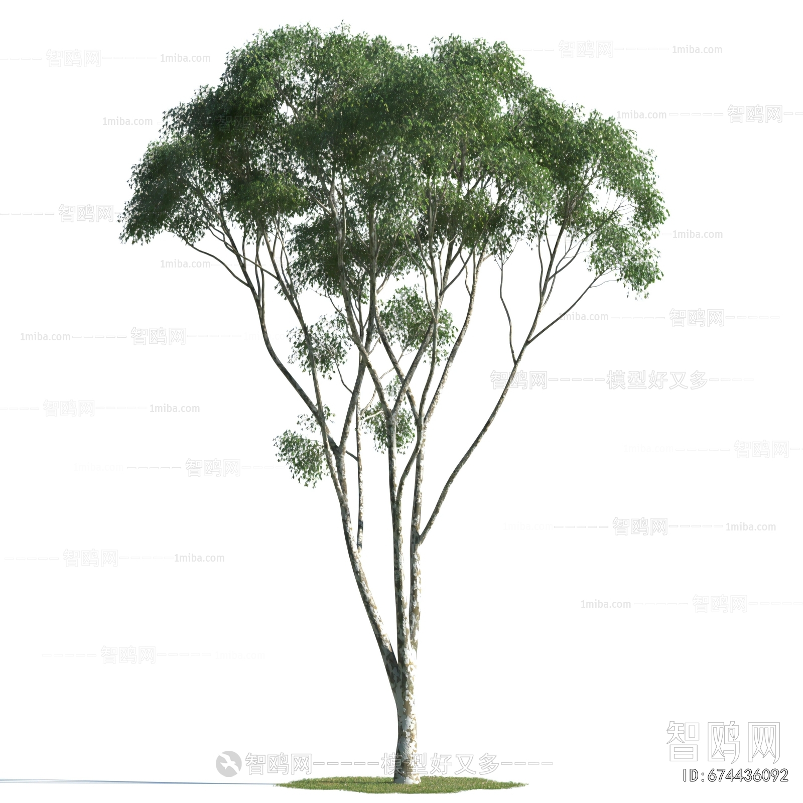Modern Tree