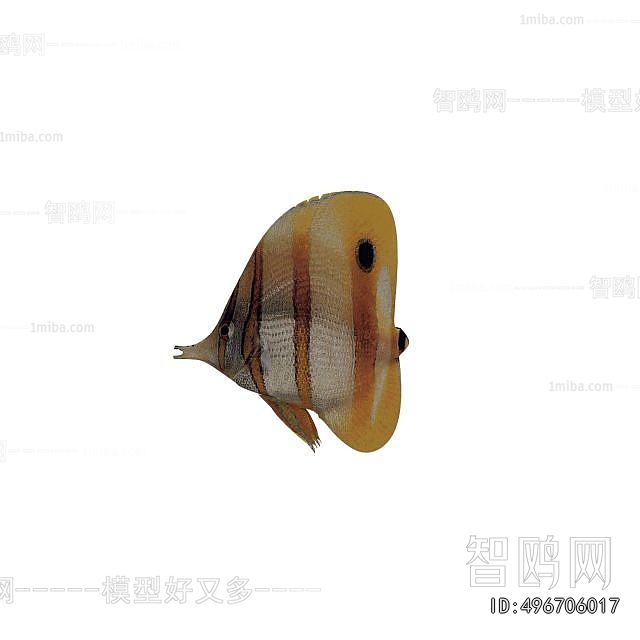 Modern Aquatic Animals