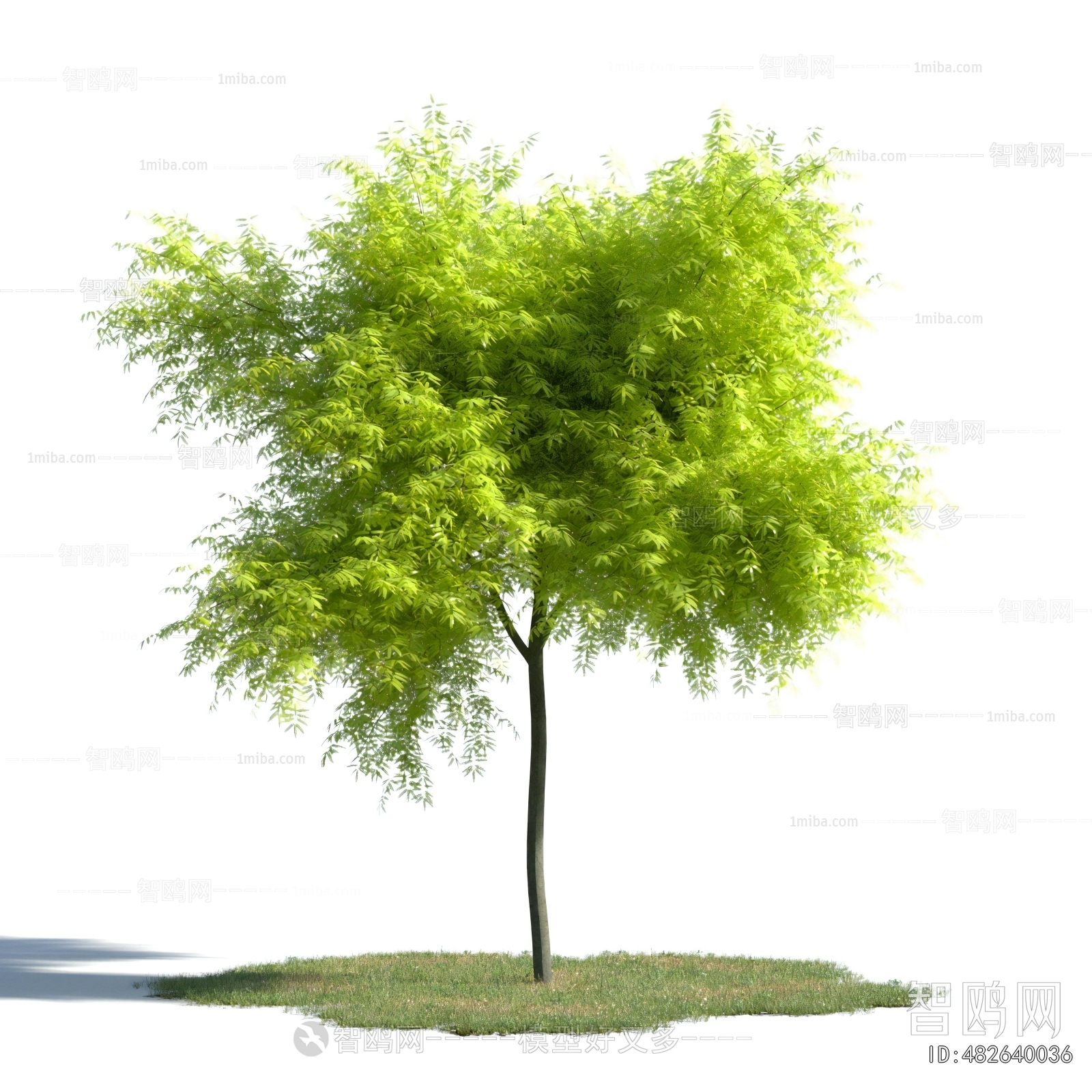 Modern Tree